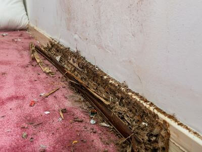 About SparkleGuard - water damage restoration experts in Omaha
